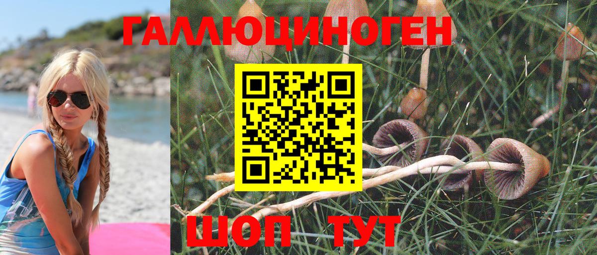 Бирск  Псилоцибиновые грибы Psilocybine cubensis  Вход с VPN 